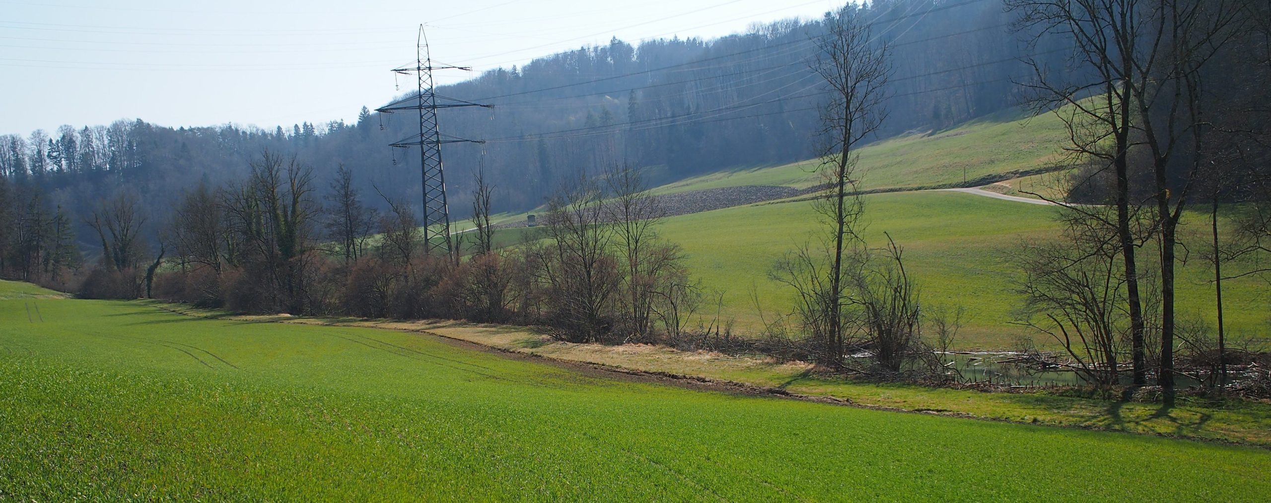 Pufferstreifen Agripedia