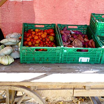 Marchés agricoles et alimentaires