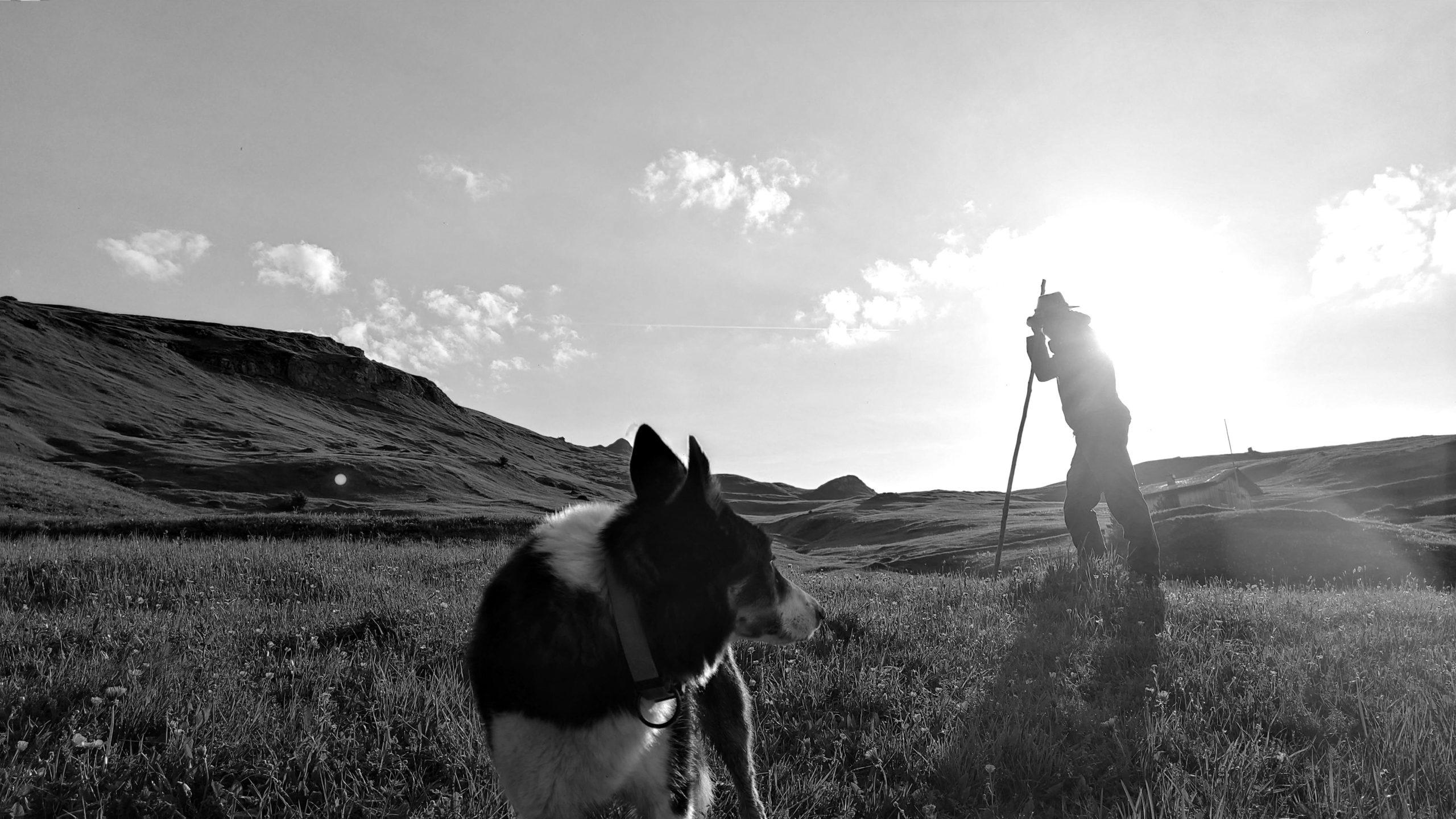 Handbuch Schafalp - Agripedia