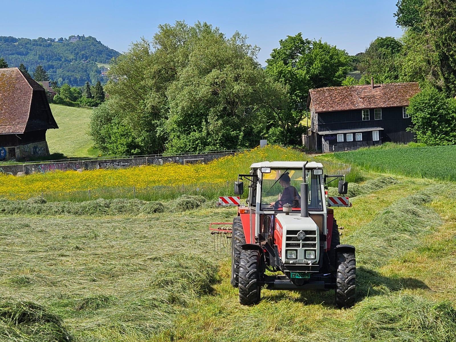 Melanie_Lehmann_Elfenauhof1