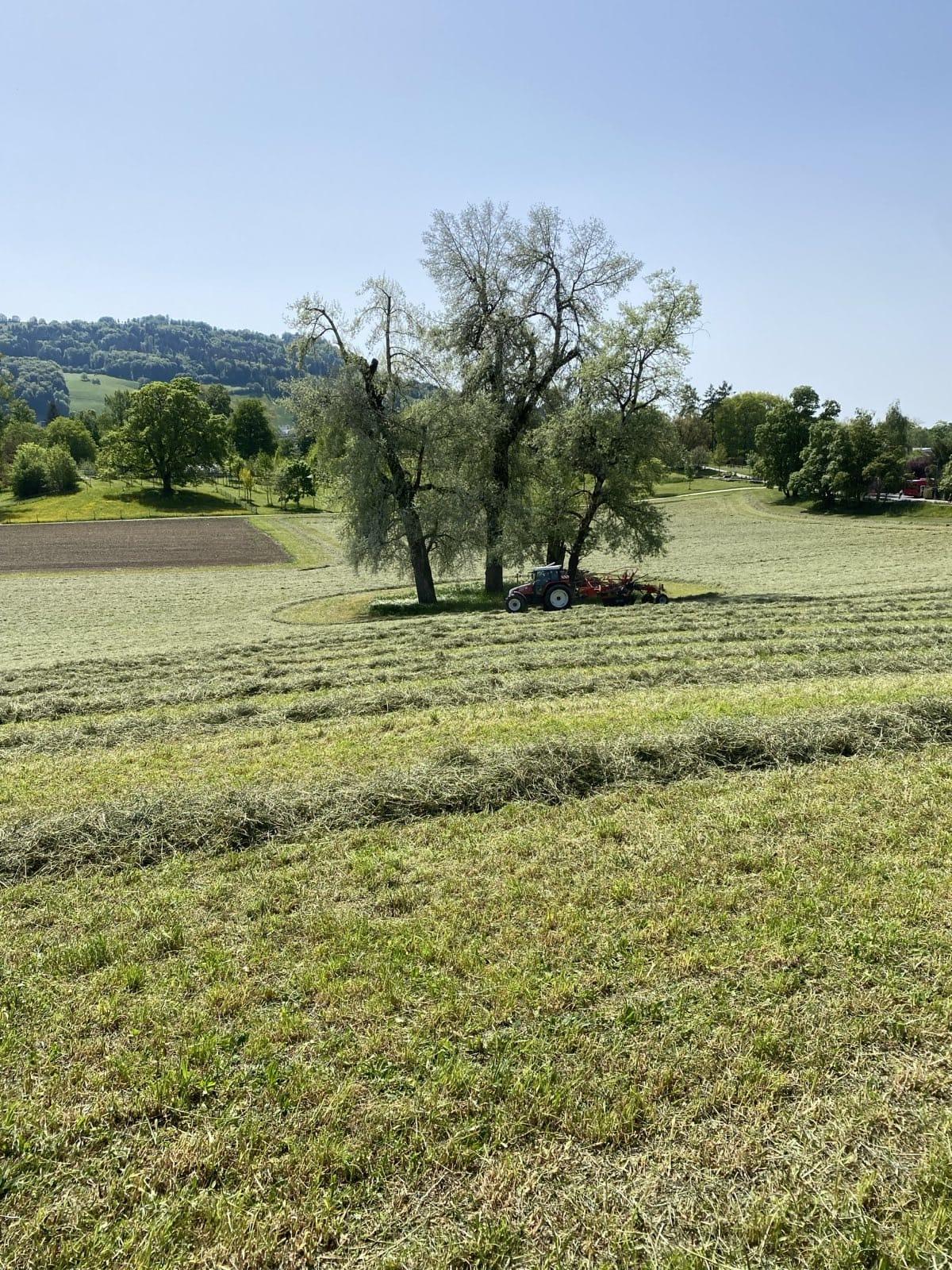 Melanie_Lehmann_Elfenauhof3