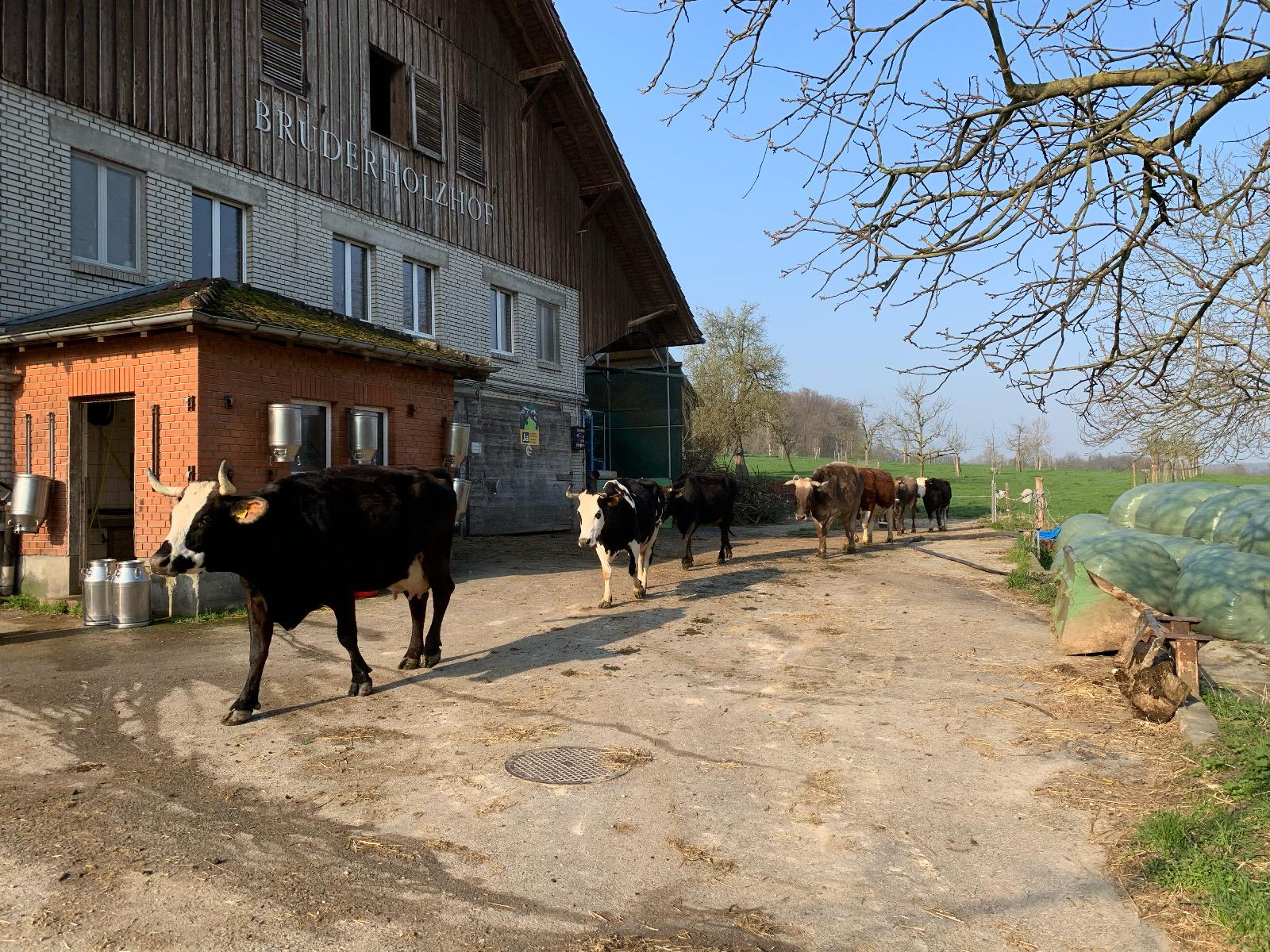bruderholzhof