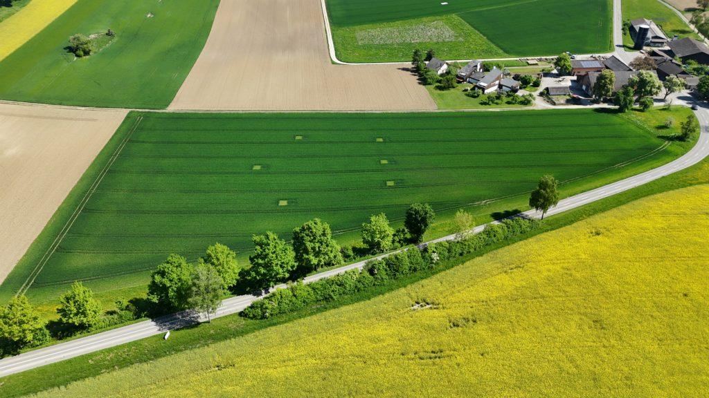 Teilflächenspezifische Düngung