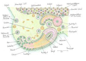Permakultur Detailplan Mülacker