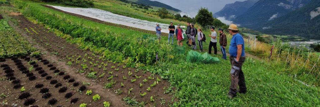 Peer-to-Peer-Beratung