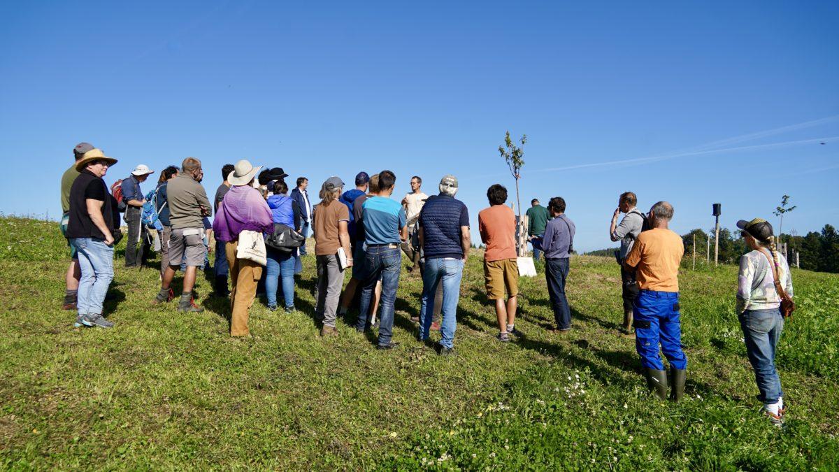 Menschen bei einer Hofbesichtigung