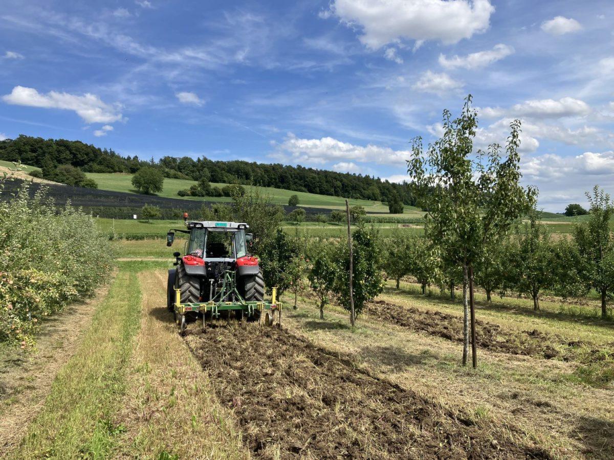 Traktor in Agroforst